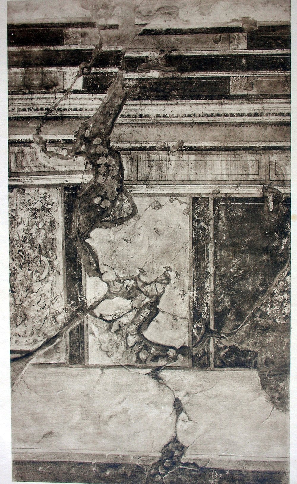 pag8.jpg