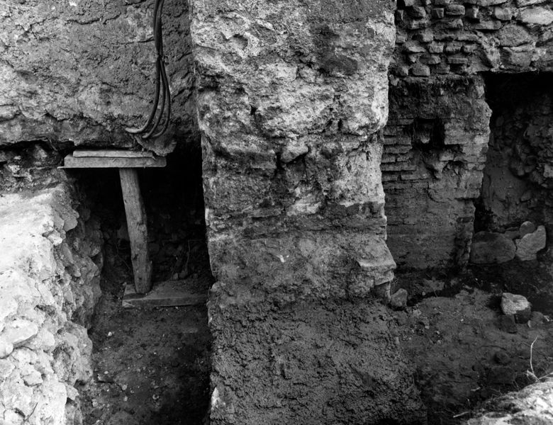 005663 - restauro - Clivio Palatino, lato sinistro: lavori di consolidamento 