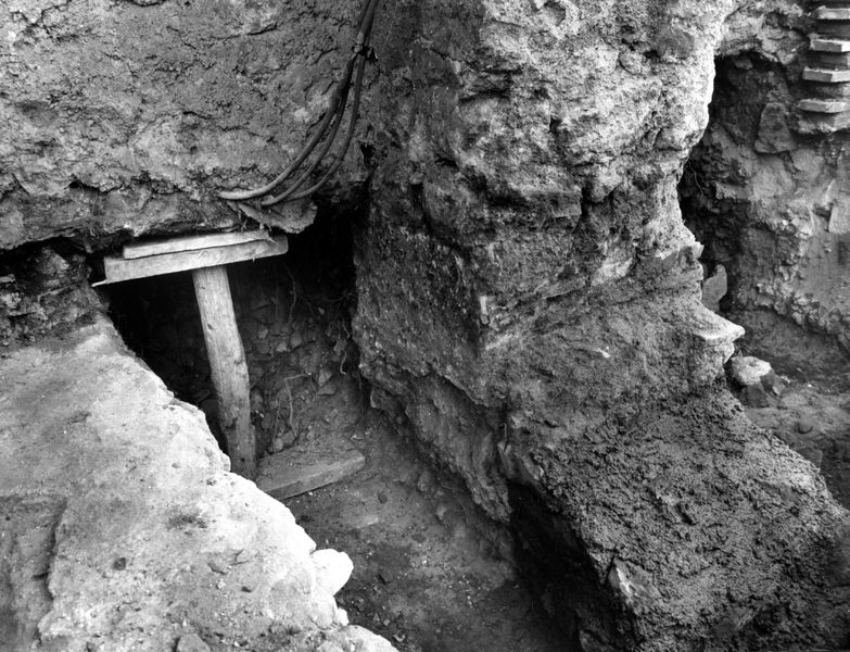 005664 - restauro - Clivio Palatino, lato sinistro: lavori di consolidamento 