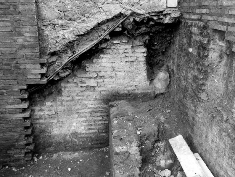 005666 - restauro - Clivio Palatino, lato sinistro: lavori di consolidamento 