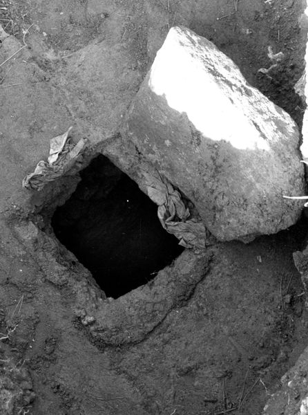 005667 - restauro - Clivio Palatino, lato sinistro: lavori di consolidamento 