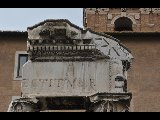 DSC_0454.NEF