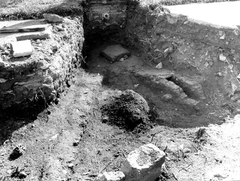 005668 - restauro - Clivio Palatino, lato sinistro: lavori di consolidamento 