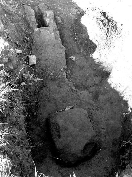 005669 - restauro - Clivio Palatino, lato sinistro: lavori di consolidamento 