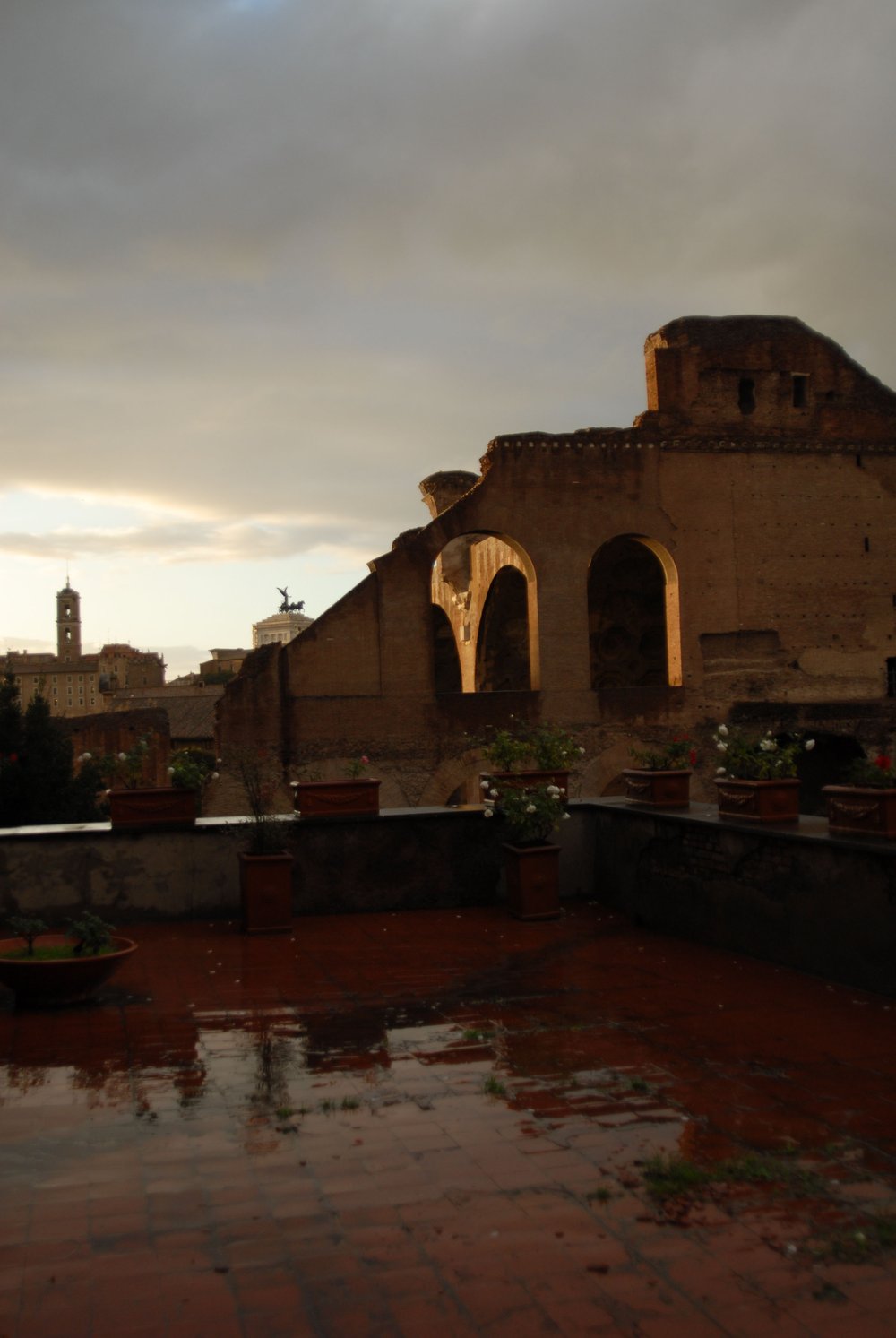 DSC_0101.JPG