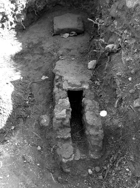 005670 - restauro - Clivio Palatino, lato sinistro: lavori di consolidamento 