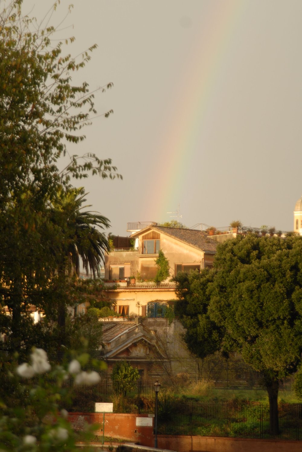 DSC_0095.JPG