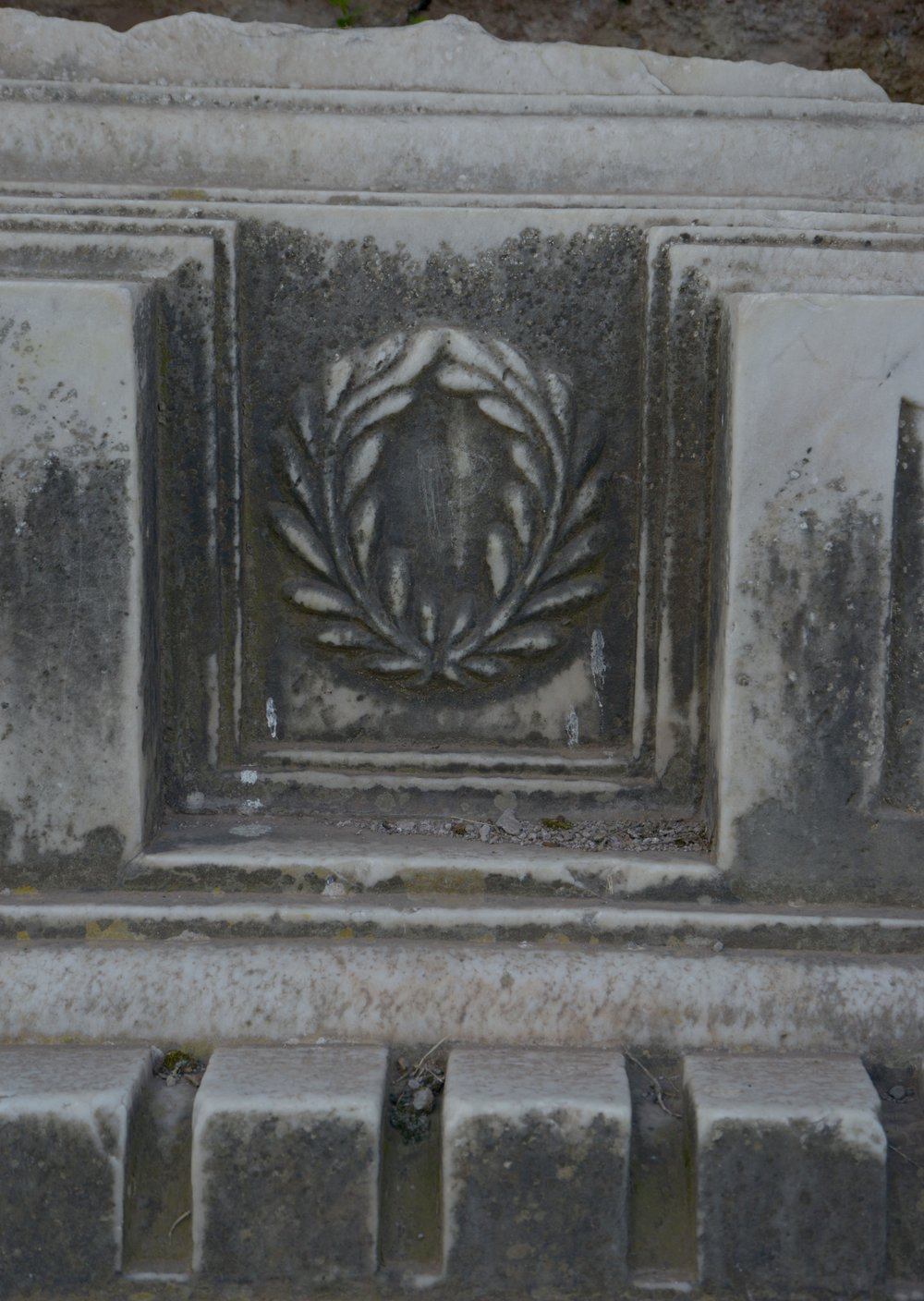 DSC_0903.jpg