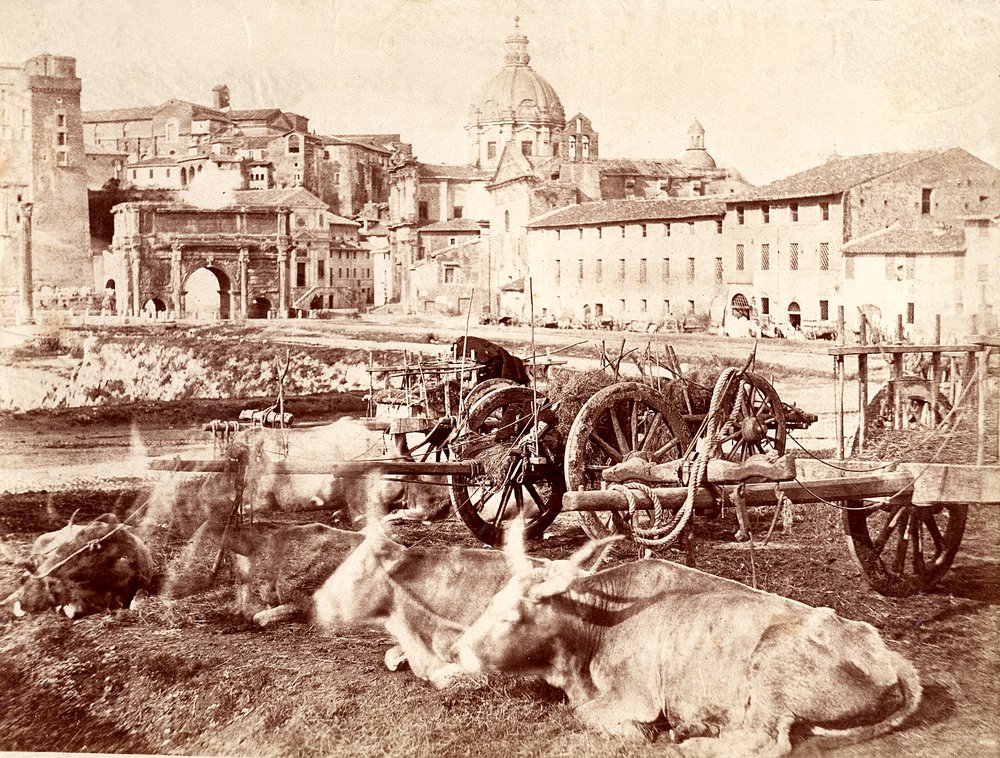 Foro Romano veduta del XIX sec.tif