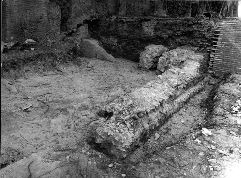 005776 - restauro - Clivio Palatino, lato sinistro: lavori di consolidamento 1982