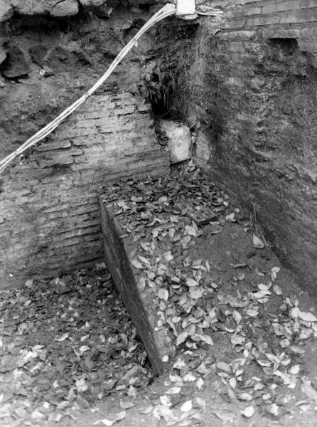 005781 - restauro - Clivio Palatino, lato sinistro: lavori di consolidamento 1984-85