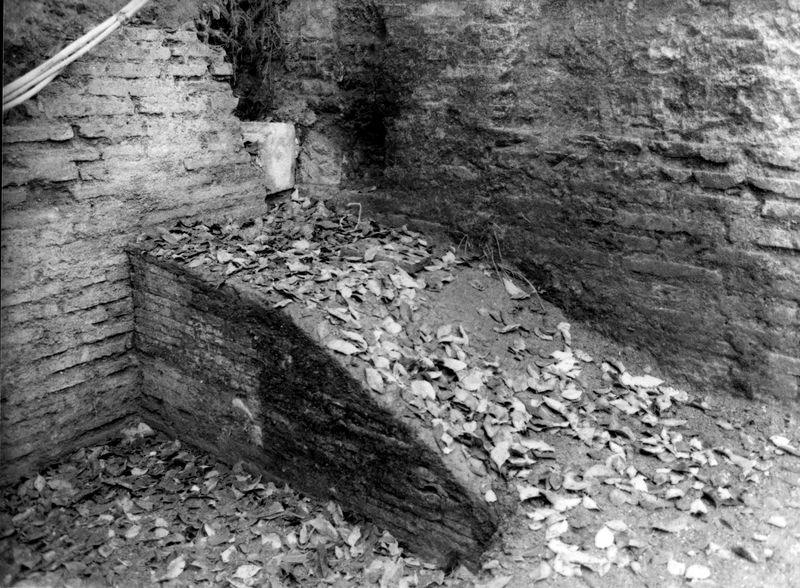 005782 - restauro - Clivio Palatino, lato sinistro: lavori di consolidamento 1984-85