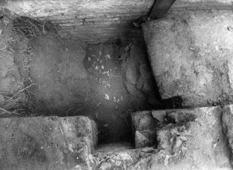 005785 - restauro - Clivio Palatino, lato sinistro: lavori di consolidamento 1984-85