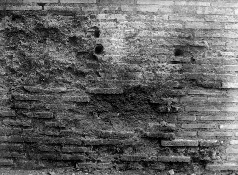 005786 - restauro - Clivio Palatino, lato sinistro: lavori di consolidamento 1984-85