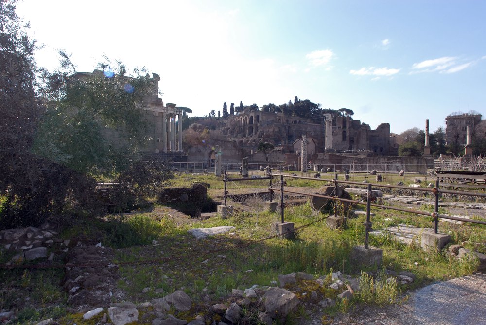 DSC_0030.JPG