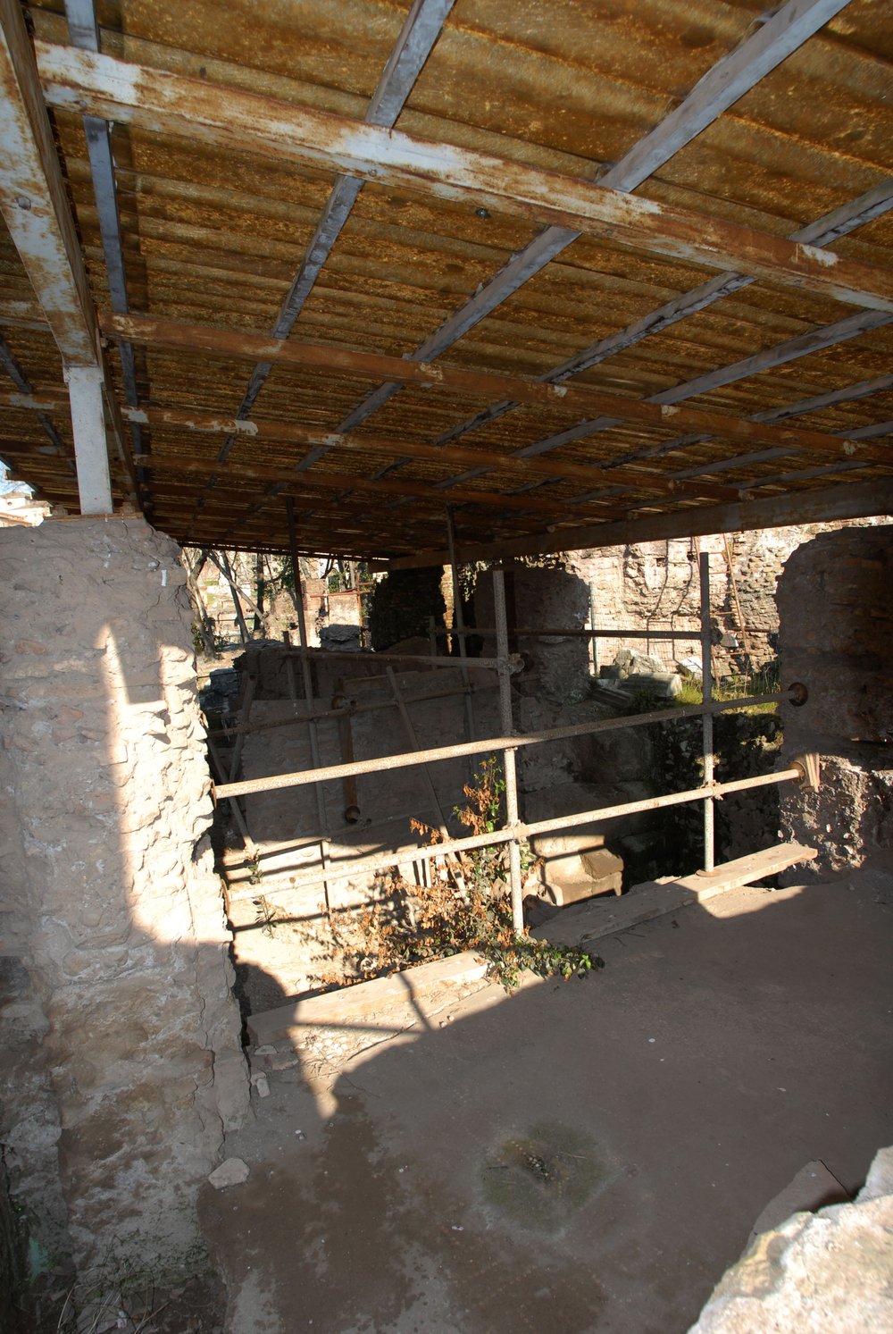DSC_0006.JPG