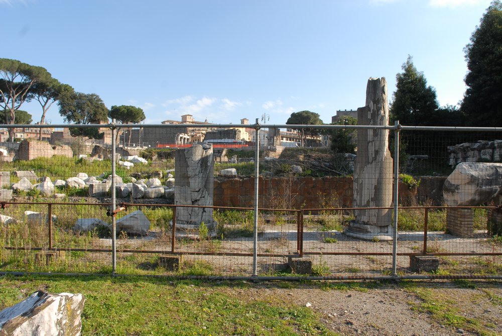 DSC_0015.JPG