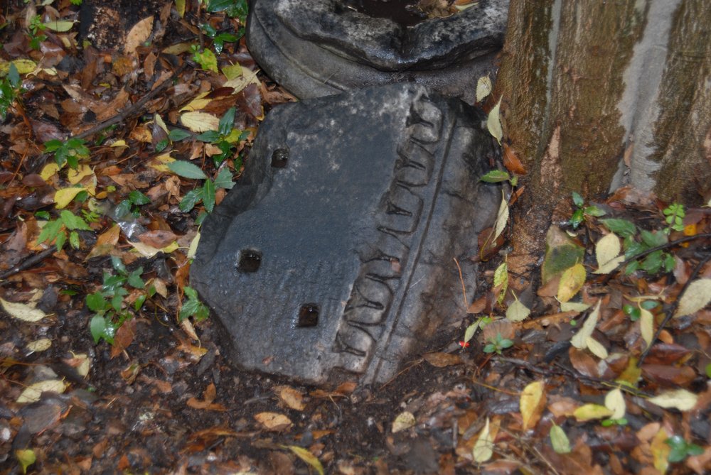 552783.jpg