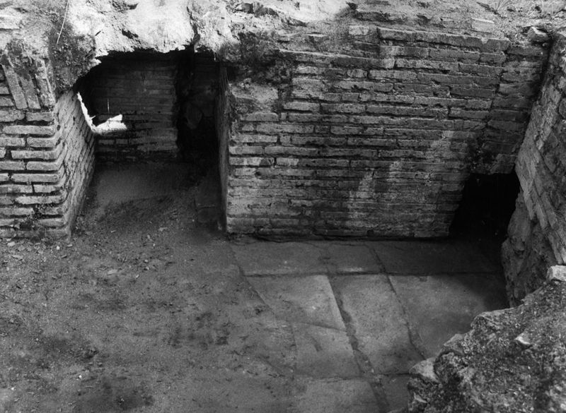 005814 - restauro - Clivio Palatino, lato destro: veduta dei lavori 