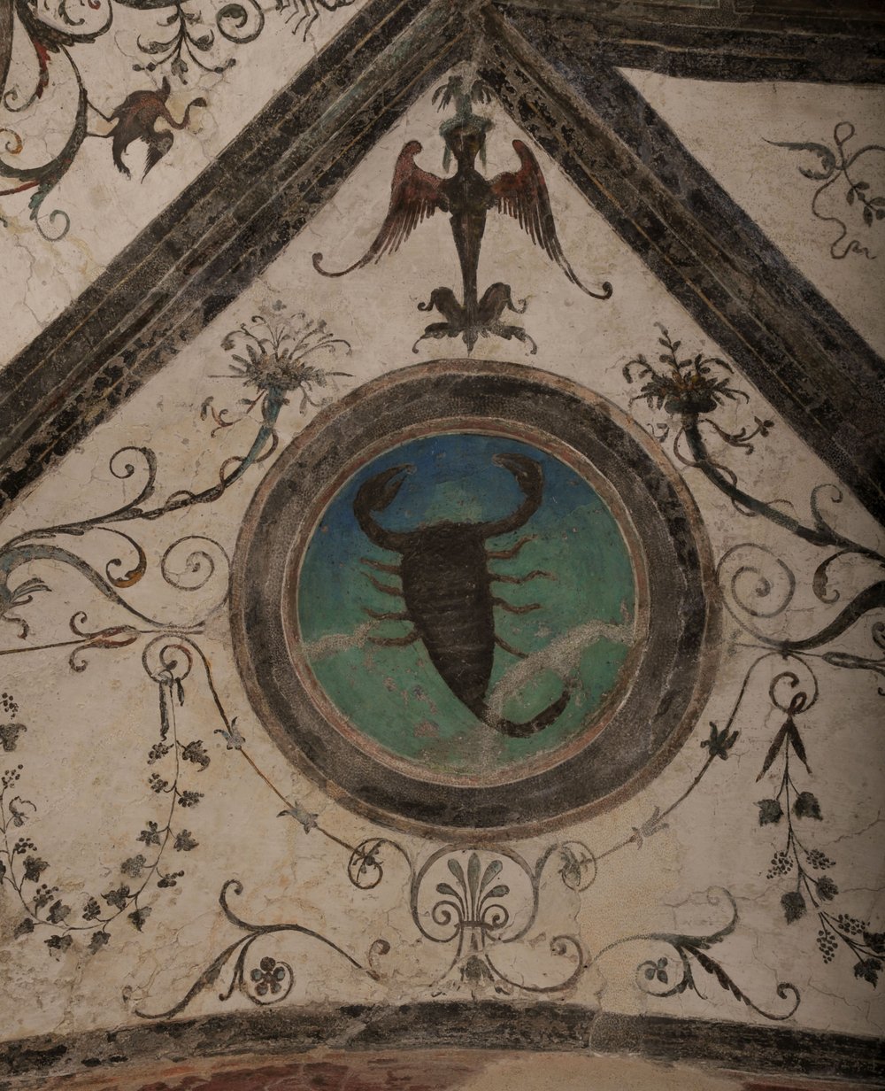 scorpione.JPG