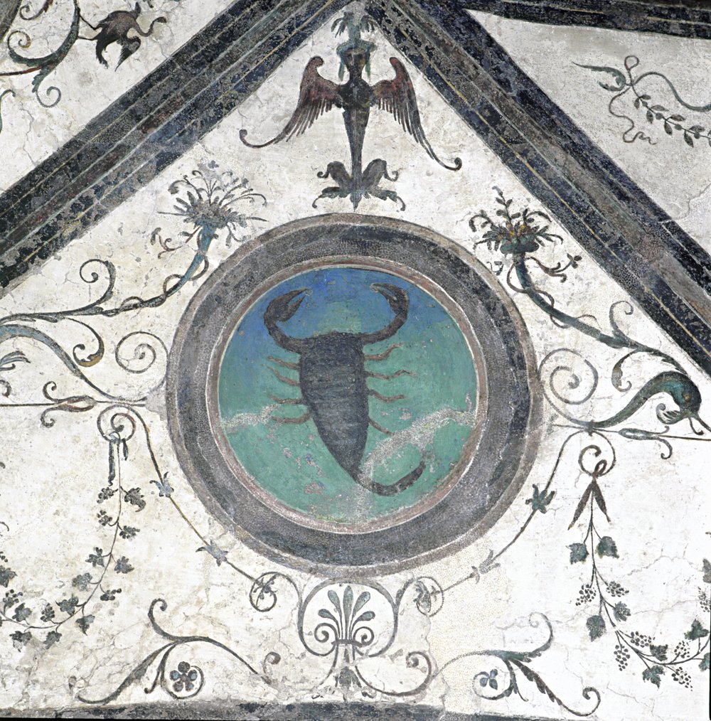 scorpione.tif