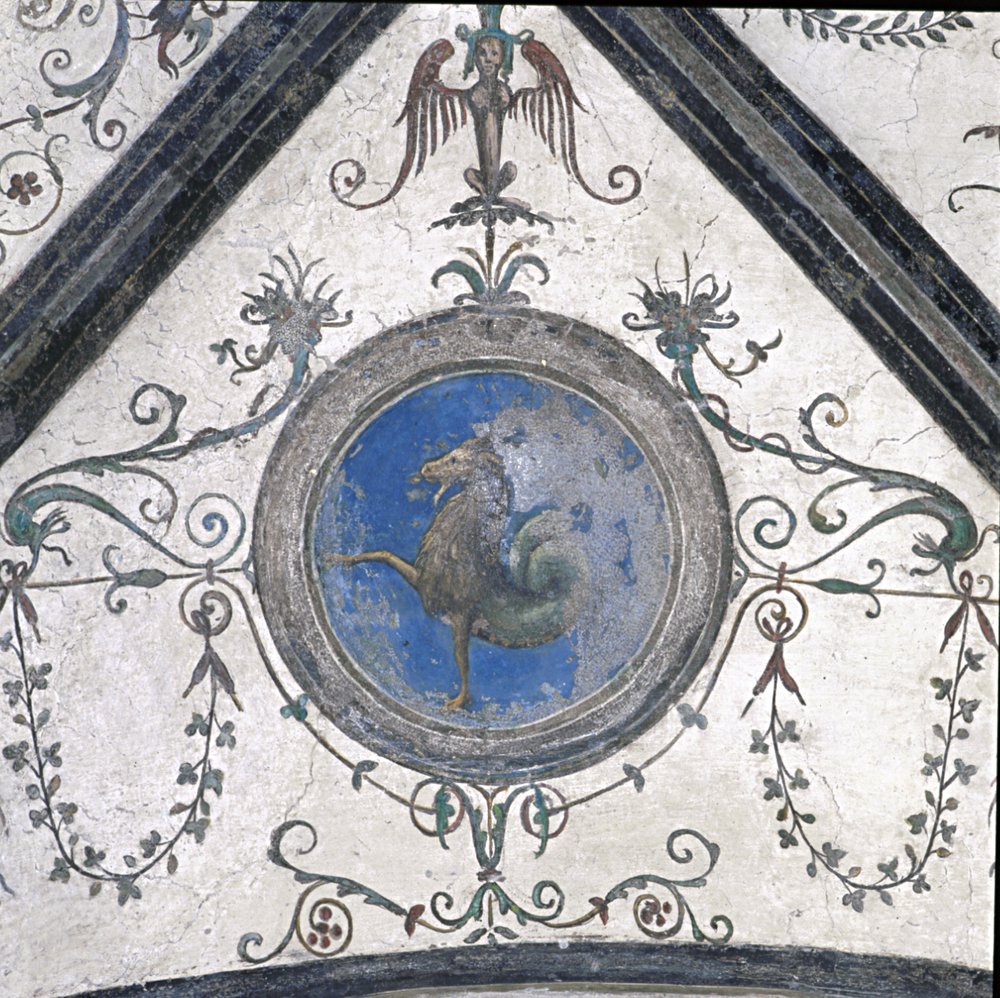 capricorno.tif