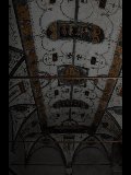DSC_0033.NEF