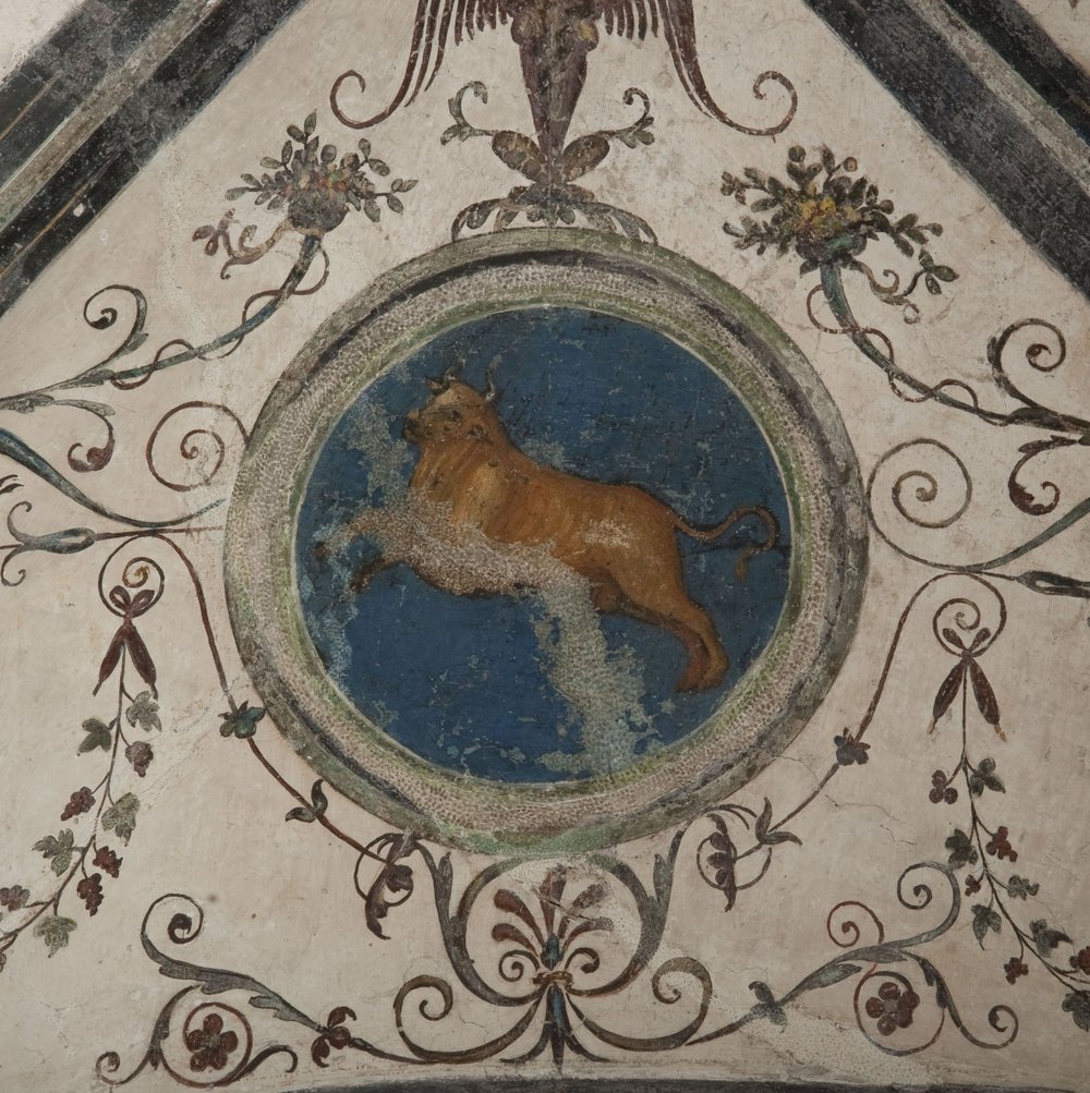DSC_2334.JPG