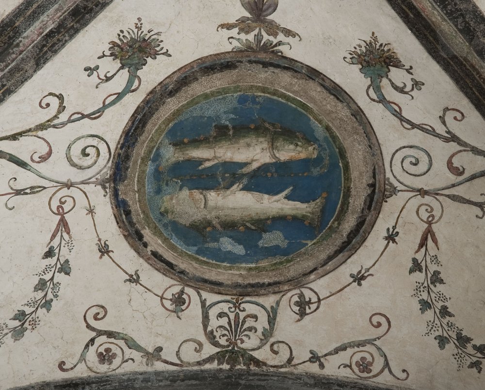 DSC_2342.JPG