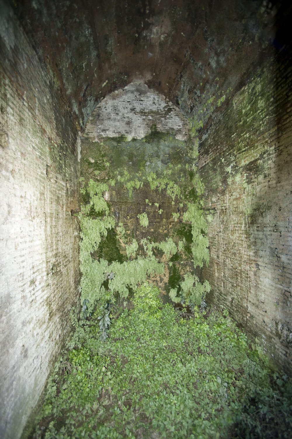 DSC_3812.jpg