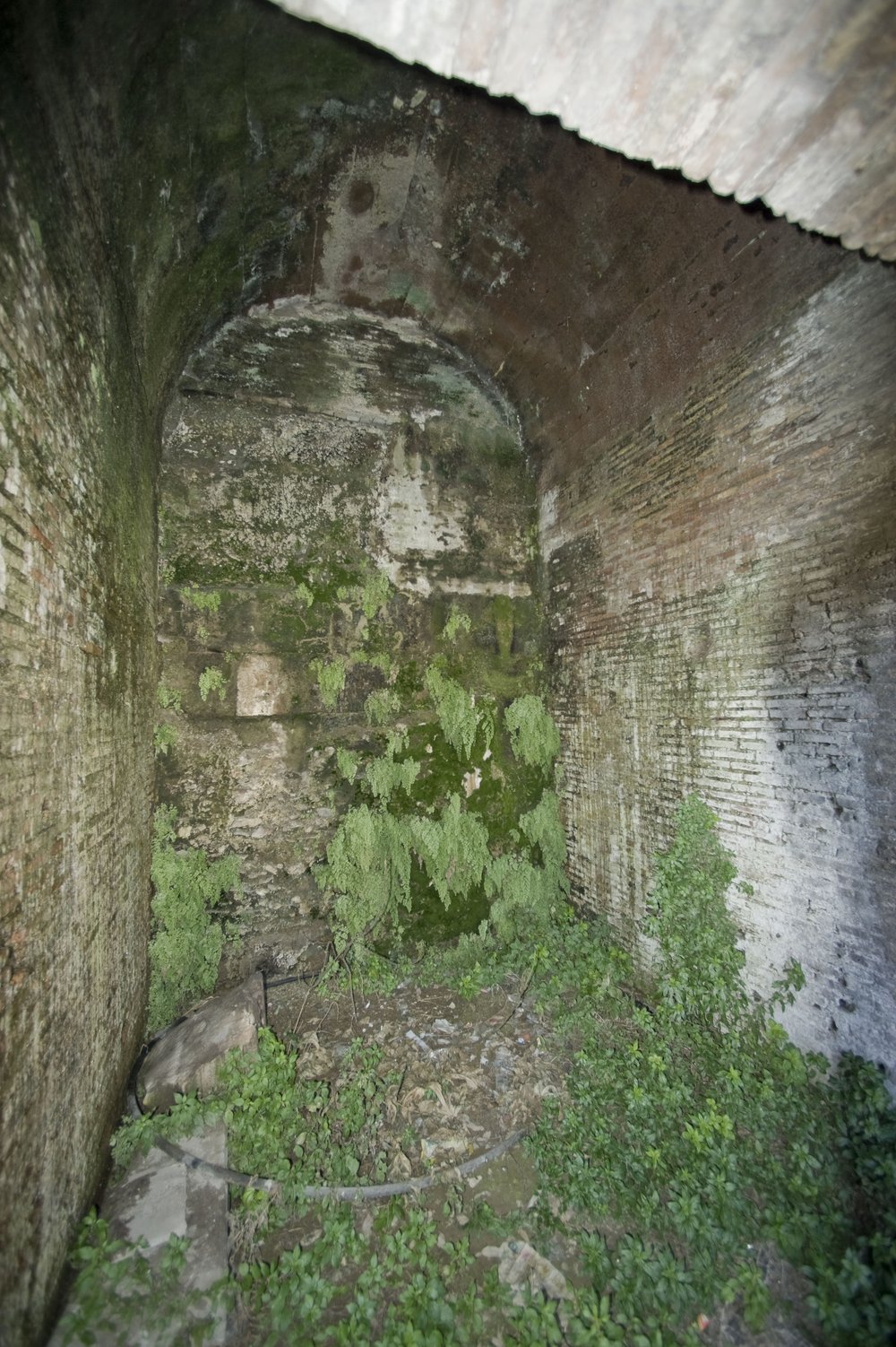 DSC_3809.jpg