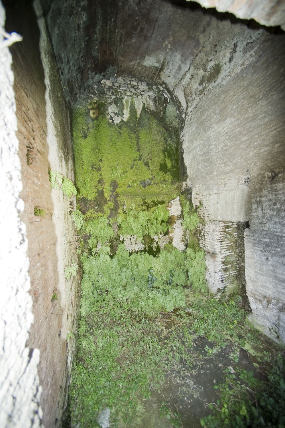 DSC_3814.jpg
