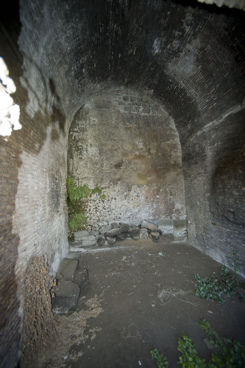 DSC_3819.jpg