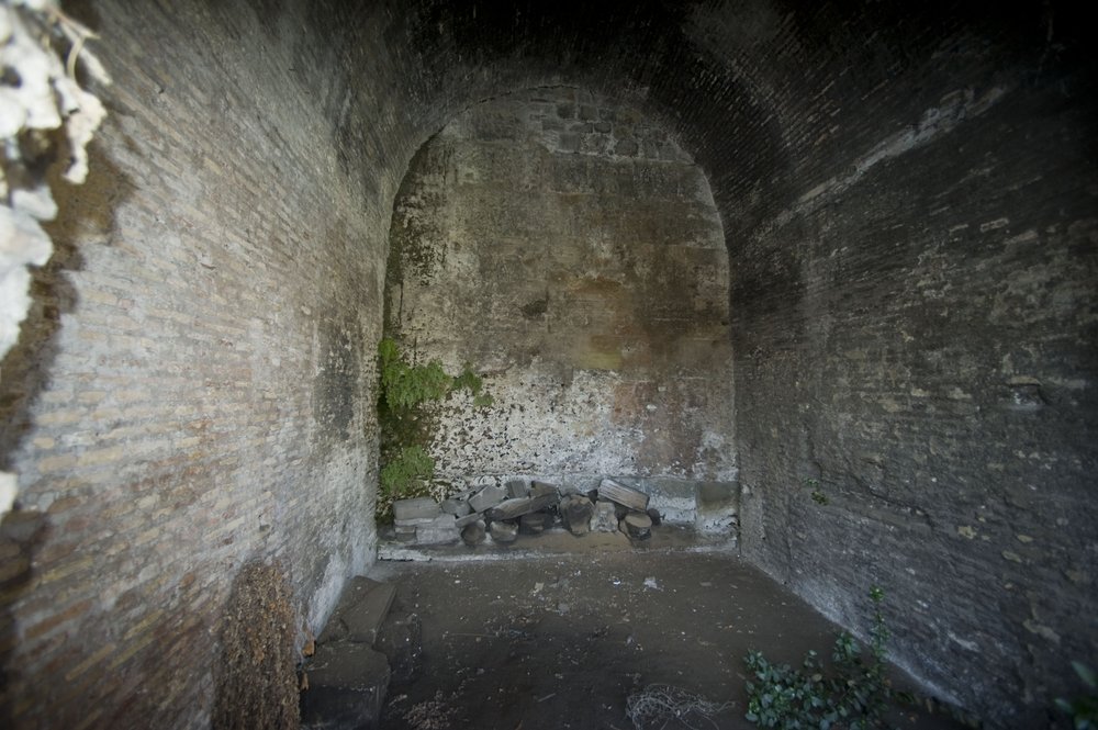 DSC_3817.jpg