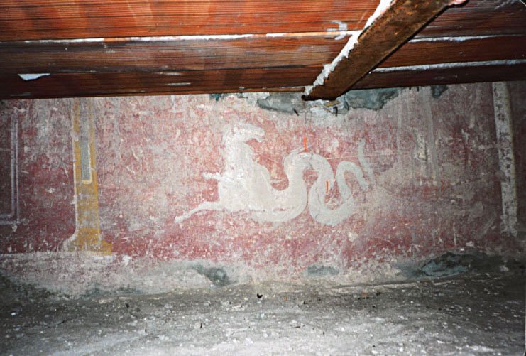 foto 11.jpg