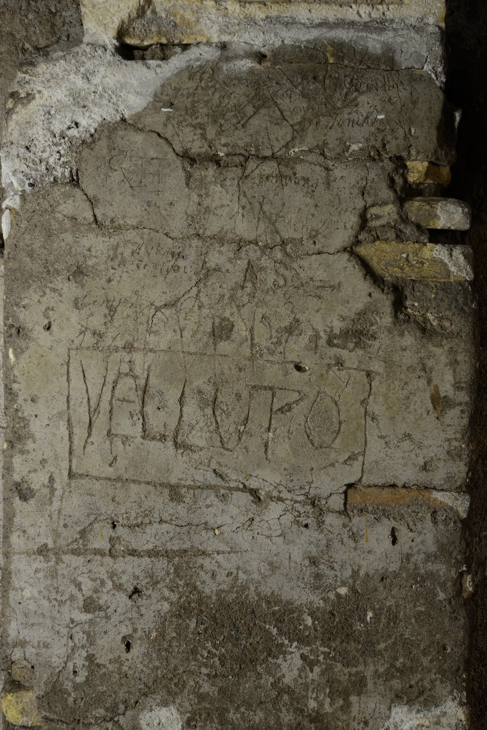 DSC_1807.JPG