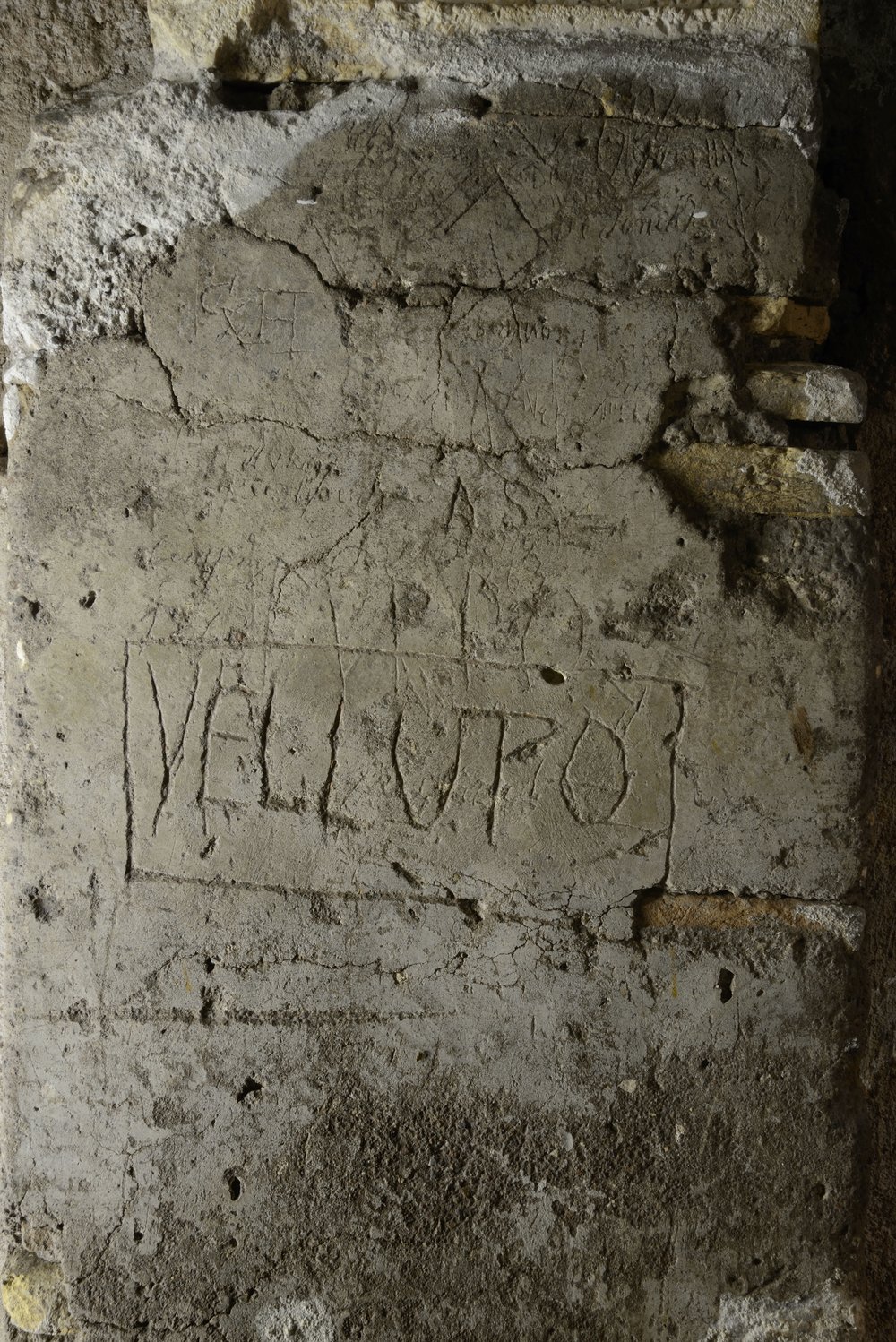DSC_1806.JPG