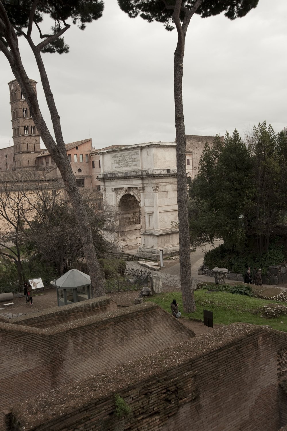 DSC_0204.jpg