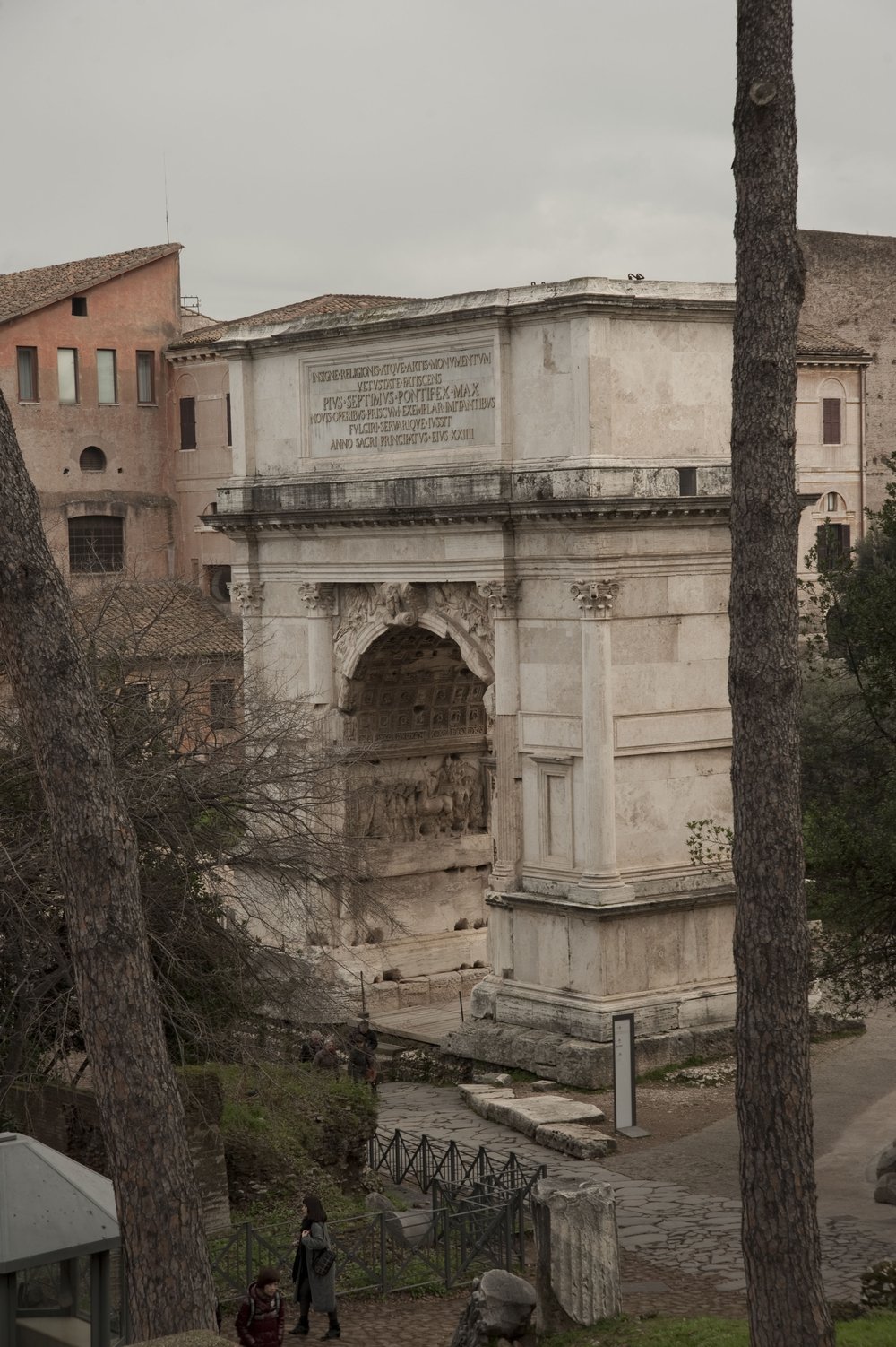 DSC_0203.jpg