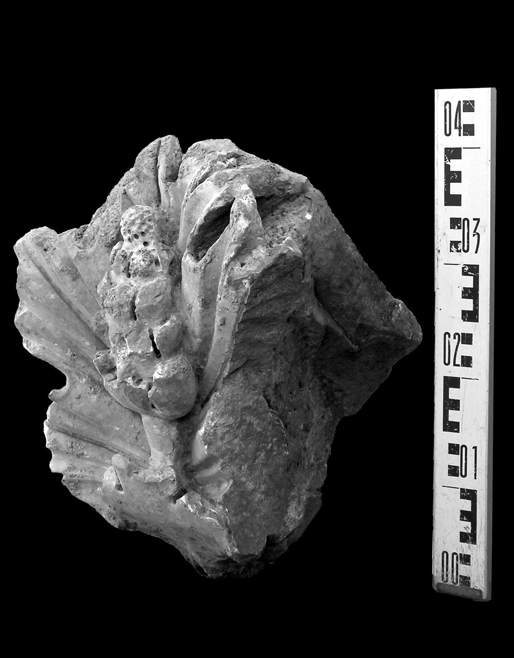 PICT1483ritoccata copia.jpg
