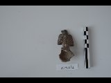 DSC_1728.NEF