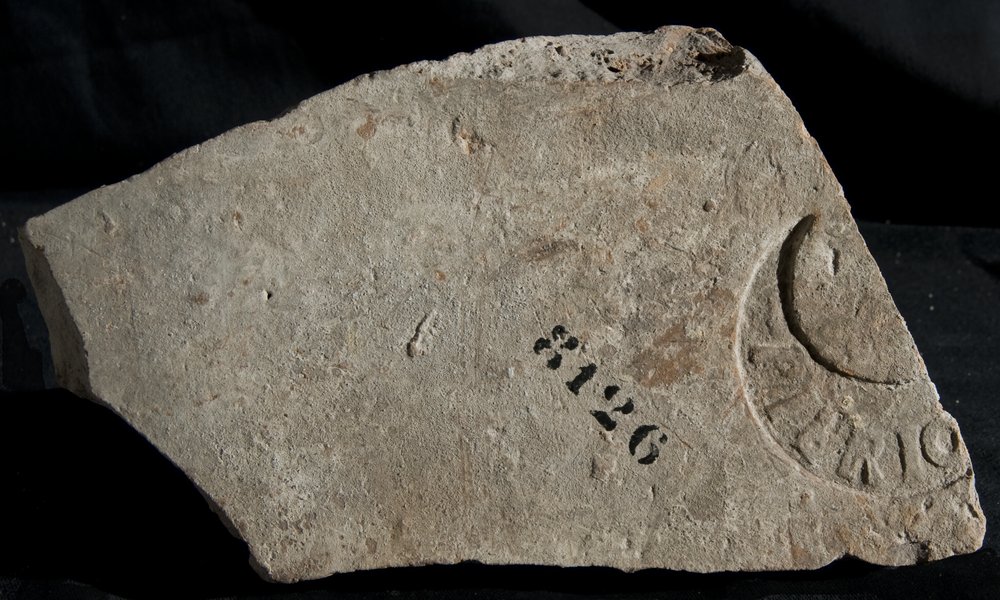 Inv. 8126.TIF