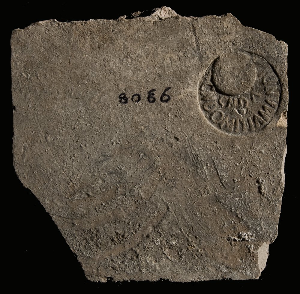 Inv. 8066.TIF