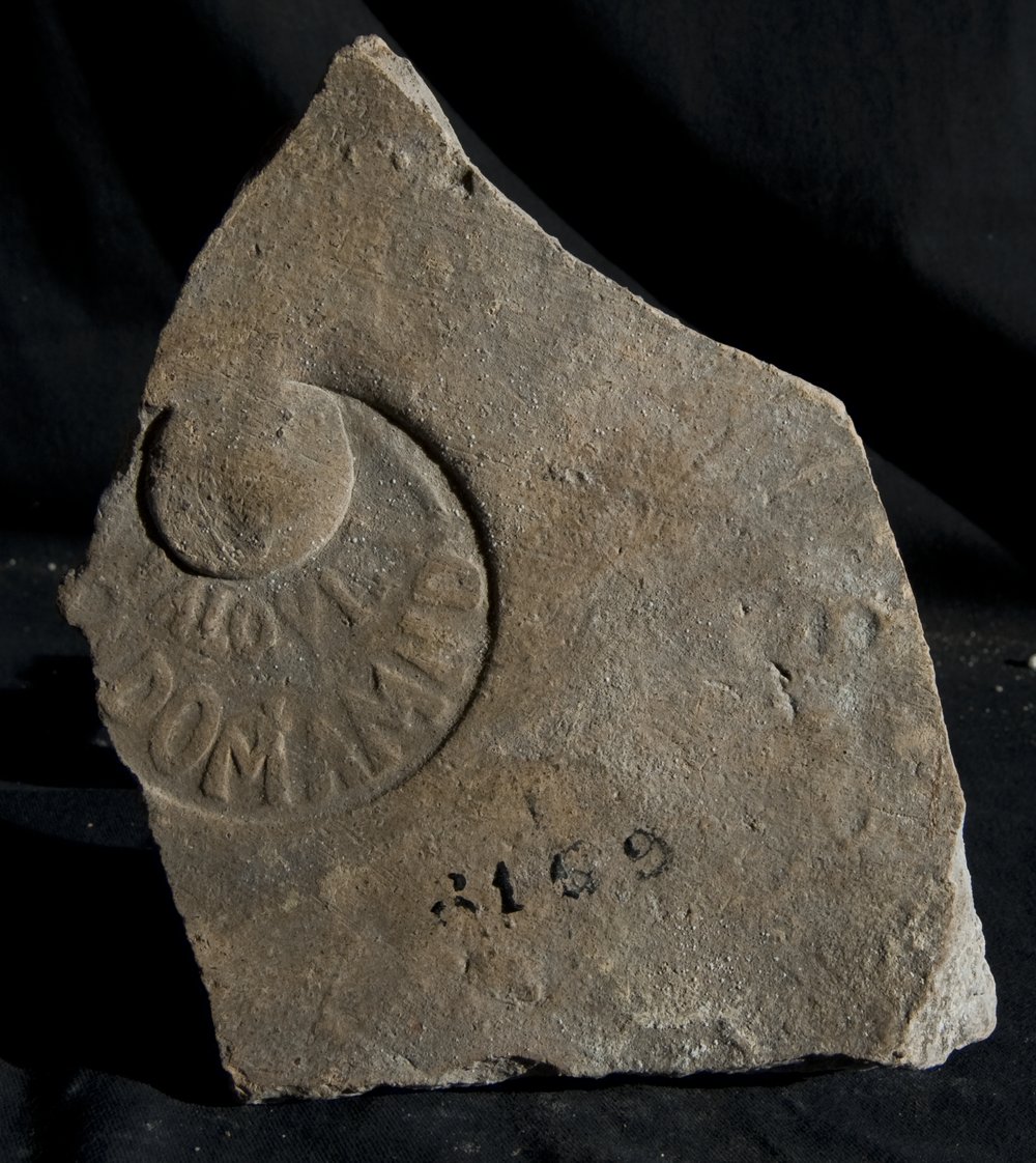 Inv. 8159.TIF