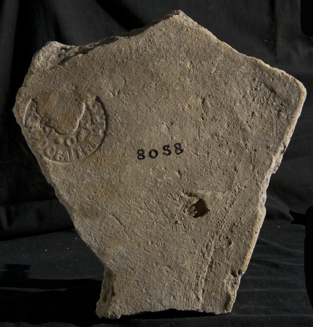 Inv. 8058.TIF