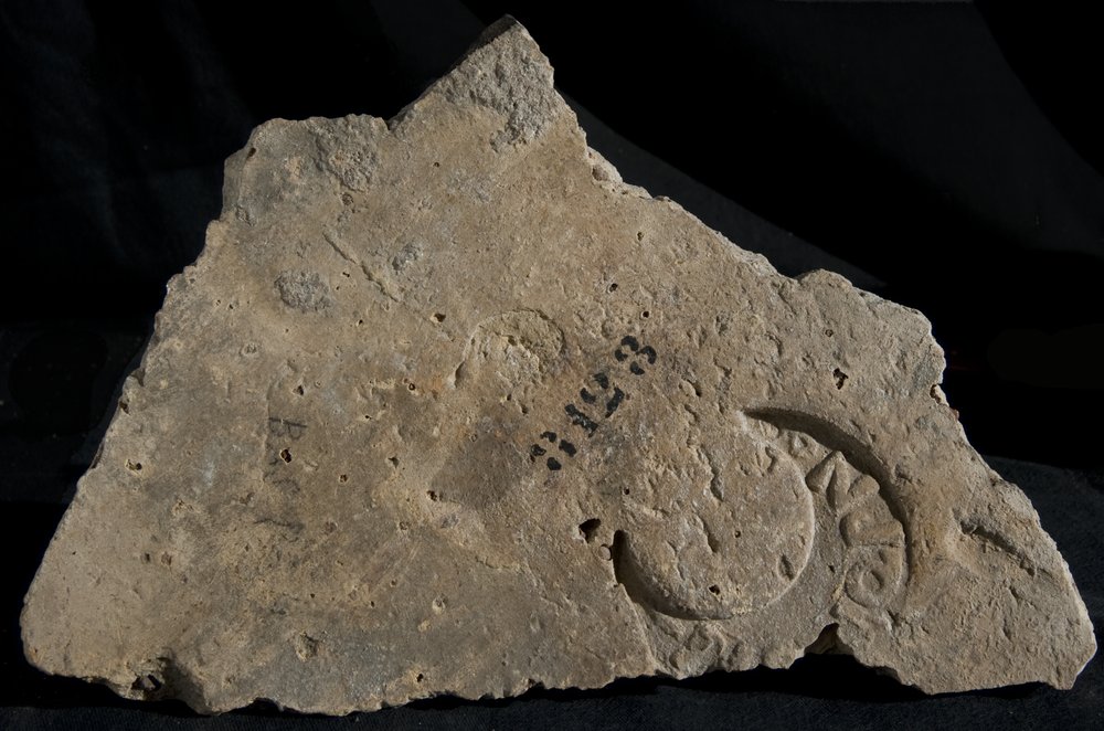 Inv. 8128.TIF