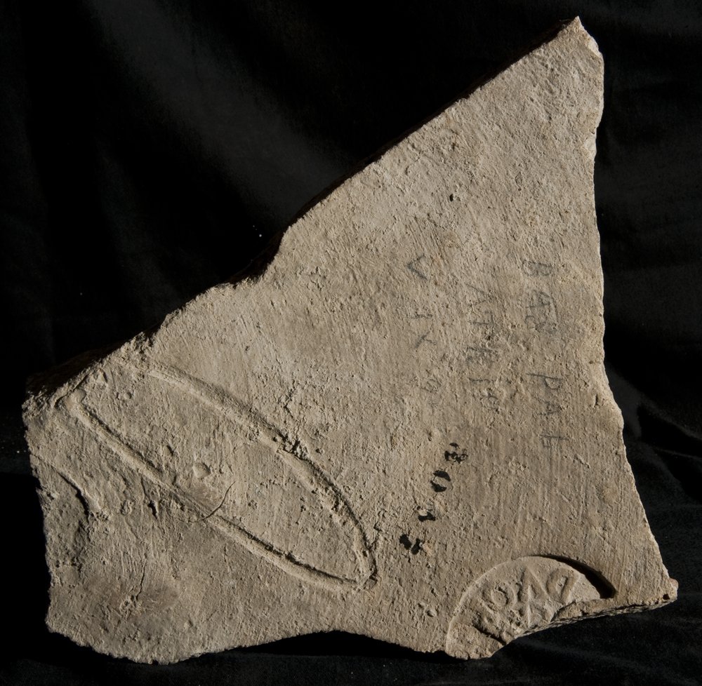 Inv. 8047.TIF