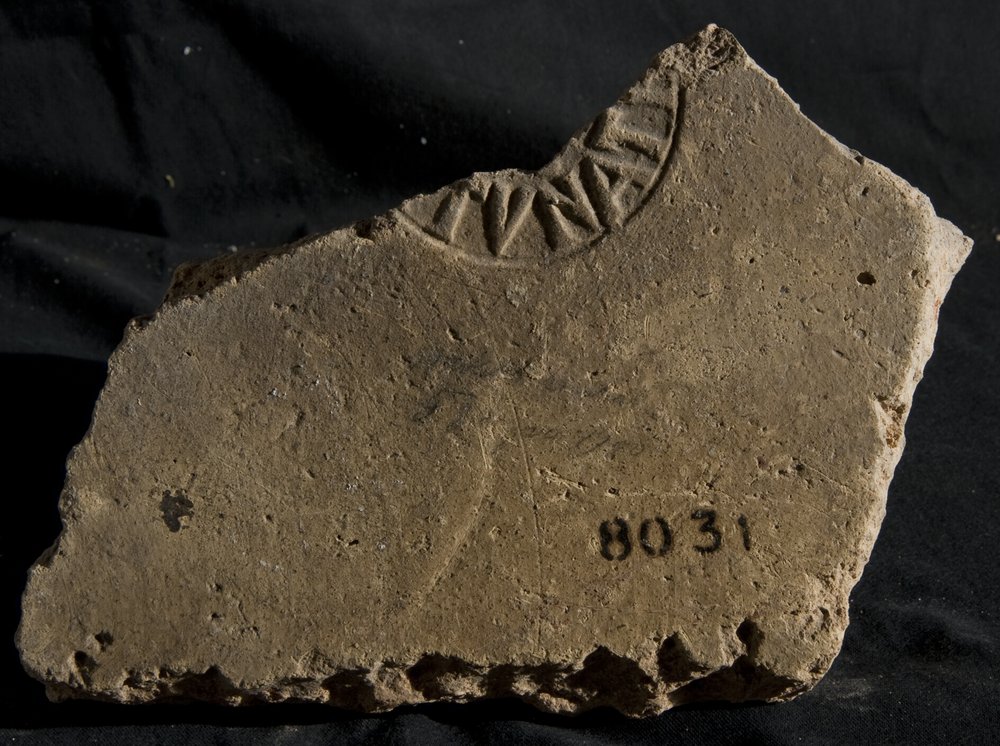 Inv. 8031.TIF