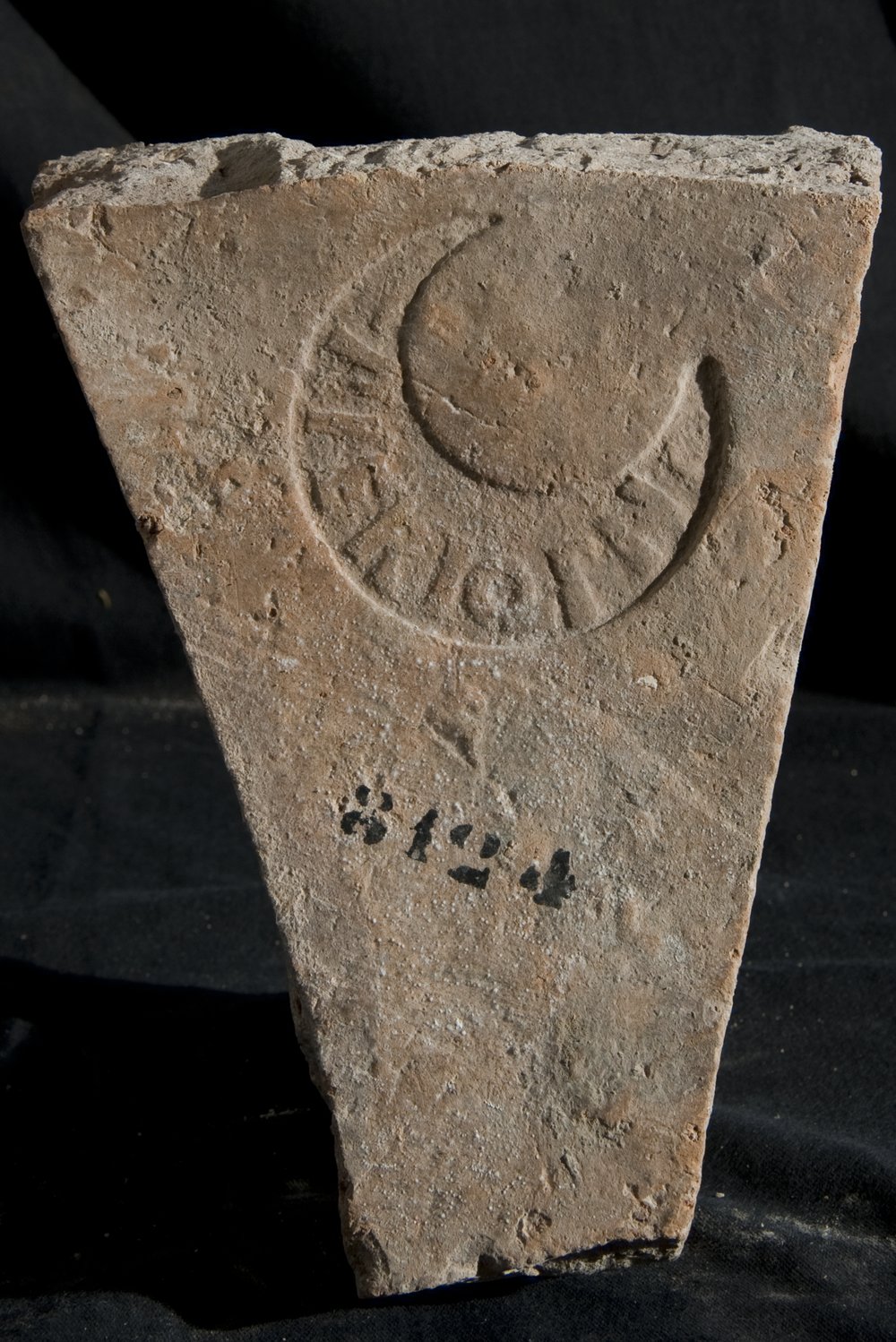 Inv. 8124.TIF
