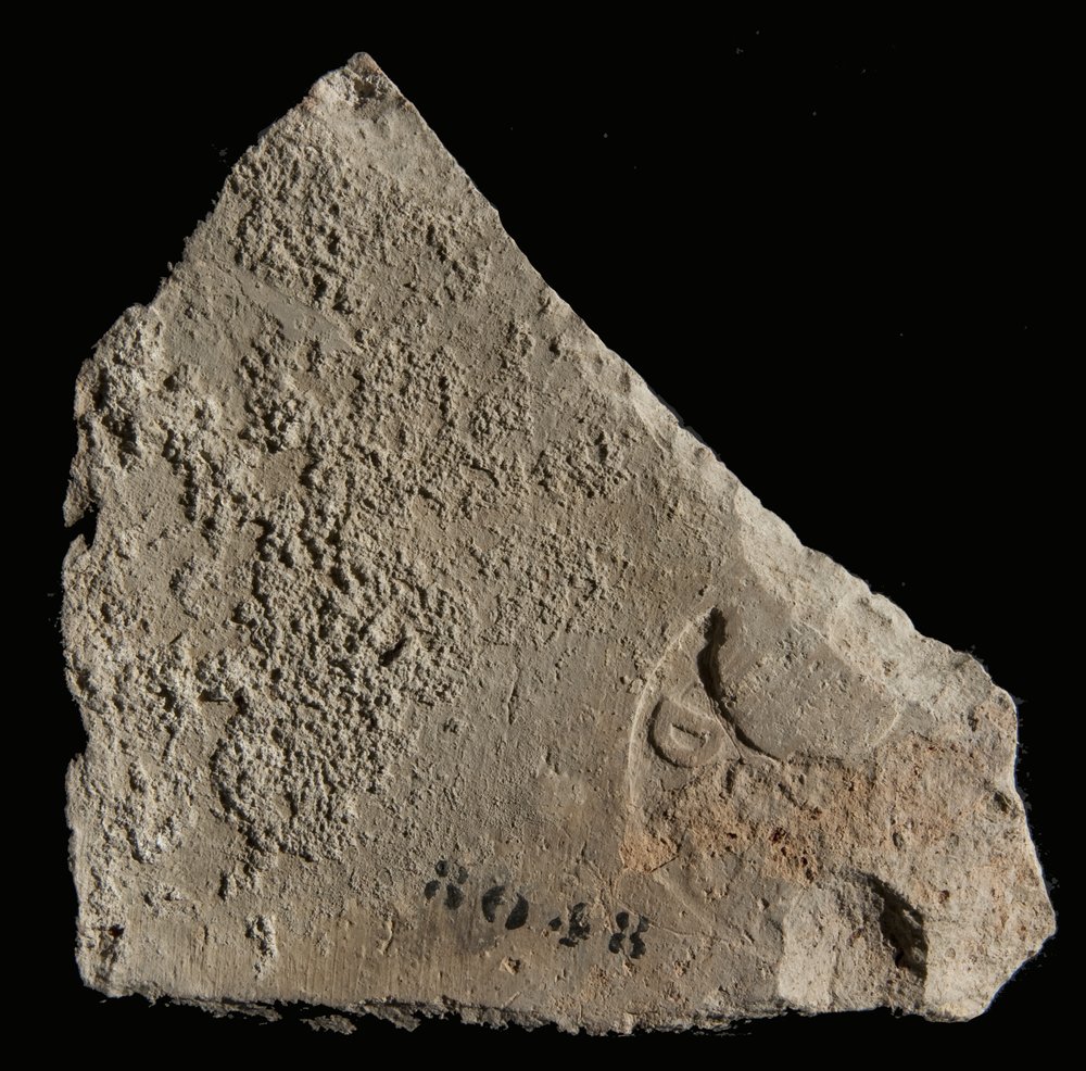 Inv. 8048.TIF
